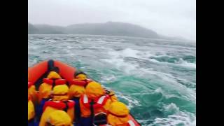 Corryvreckan Whirlpools and upwelling with Seafari Adventures [upl. by Franchot]