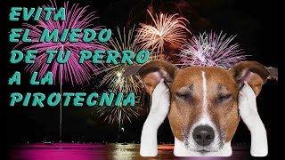 Evita el MIEDO de tu Perro a la Pirotecnia y Fuegos Artificiales Rutina Exprés [upl. by Ettenom925]