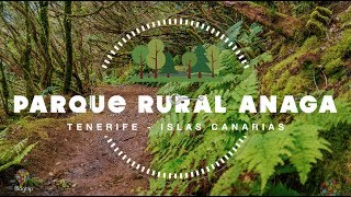 Viaje a Tenerife Islas Canarias parque rural natural Anaga 🏝 4K [upl. by Lleruj90]