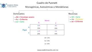 Resolución de cuadros de Punnett [upl. by Oiligriv]