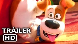 LA VIDA SECRETA DE TUS MASCOTAS 2 Tráiler Español 2019 [upl. by Pohsib187]