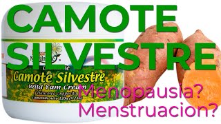 CAMOTE SILVESTRE Beneficios 🙋‍♀️ Para que Sirve  Menopausia Menstruacion Desequilibrio Hormonal [upl. by Graeme]