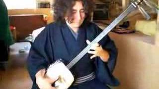 Mozart Symphony no25 on Japanese Shamisen [upl. by Kerril]