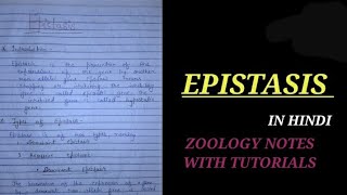 EPISTASIS IN HINDI zoologynotes biology vbu bsc bsc2ndyearzoology ZOOLOGYNOTES bsczoology [upl. by Cary]