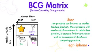 BCG matrix Boston Consulting Group Matrix in Nepali [upl. by Ttessil]