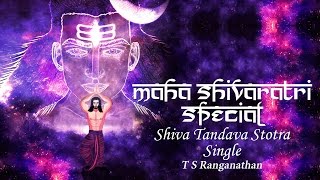 Shiv Stuti  Shiva Tandava Stotram Full  T S Ranganathan [upl. by Lamoree]