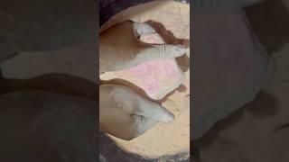 Soft crunchy dust chalk satisfying oddlysatisfying dustyreforms shorts [upl. by Eelan]