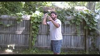 How to throw the atlatl [upl. by Osmond]