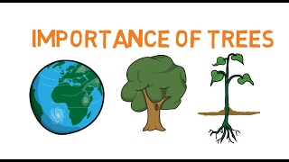 Importance of trees  Facts about trees for kids  Why do we need trees  Simply Elearn kids [upl. by Daphna]