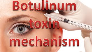 Botulinum toxin mechanism [upl. by Galan387]