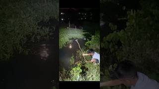 🐠🐠PESCA NOCTURNA A LA BORDE DEL RÍO [upl. by Vincents]