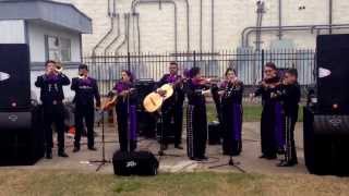 Mariachi Cristiano Houston quoten Houstonquot [upl. by Griselda]