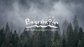 Baiersbronn  Mehr Schwarzwald gibts nirgends [upl. by Nnauol685]