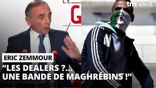 Eric Zemmour créé la polémique en ciblant les racailles de cité  Delogu lui répond [upl. by Nnylirej649]