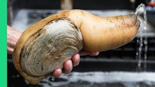 Exotic CHINESE FOOD Feast in Guangzhou 250 Snake Geoduck Sashimi and Sea Cucumber [upl. by Nnanerak795]