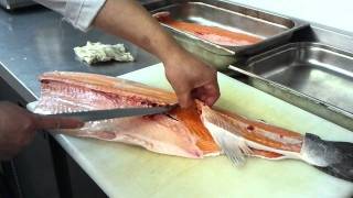 How to fillet a salmon サーモンの さばき方 [upl. by Mylander]