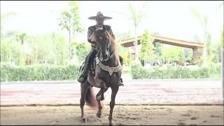 EL Mejor Caballo Bailador  CARNAVAL AUTLAN 2016 [upl. by Halika]