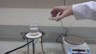 Solubility of potassium nitrate Part 1 C0029 [upl. by Anahcra835]