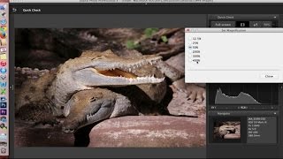 Canon Digital Photo Professional DPP 4 Software Overview and Interface Tour [upl. by Eilema]