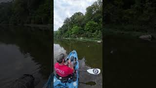 Rock Bass on Crooked Creek  Kayak Fishing  Bonafide RVR 119  Nature [upl. by Elagiba]