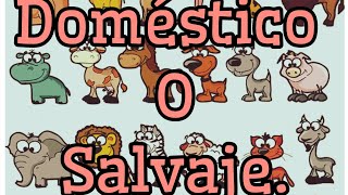 ANIMALES DOMÉSTICOS Y SALVAJES [upl. by Assenat830]