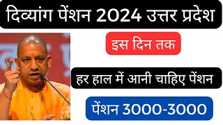 दिव्यांग पेंशन इस दिन तक हर हाल में आनी चाहिए।। divyang pension up kab आयेगी 2024 ।। pension news।। [upl. by Enenstein]