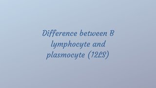 The difference between B lymphocyte and plasmocyte [upl. by Rimhsak]