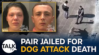 Pair jailed for Caerphilly dog attack death [upl. by Dnalhsa]