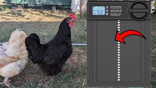 Smart Coop Door for Easy Chicken Management [upl. by Namref]