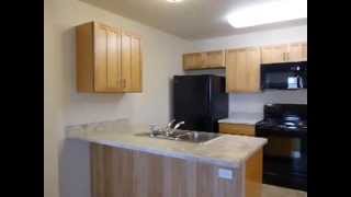 EZ Properties  Gregory Heights  Plattsburgh NY Apartments For Rent [upl. by Mohandis]