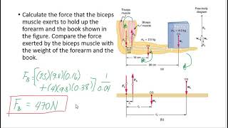 Torque problem solving [upl. by Nnylarej106]