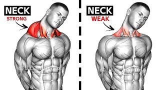 Best Neck Workout At Home Without Equipment  Neck Workout Exercise 🏠At home🏠 [upl. by Case248]