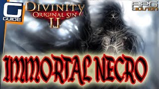 DIVINITY ORIGINAL SIN 2  IMMORTAL NECROMANCER BUILD [upl. by Ynitsed]