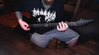 Cannibal Corpse  Devoured By Vermin guitar cover [upl. by Nibas]