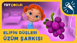 Elifin Düşleri  Üzüm Şarkısı [upl. by Neom973]