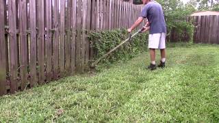 30 minutes of timelapse weed whacking [upl. by Odetta]