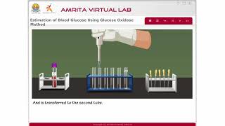 Estimation of Blood Glucose by Glucose Oxidase Method [upl. by Waldack]