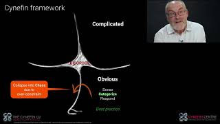 Introduzindo o Cynefin® Framework com Dave Snowden [upl. by Solon323]