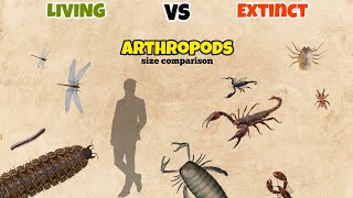 ARTHROPODS  Extinct and living comparison 04 [upl. by Adnola]