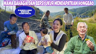 BANTU PEYA DIKEBUN DESA LALU PETIK CABAI DAN BERI HONGBAO KE MAMA DAN VEIVEI [upl. by Carlos]