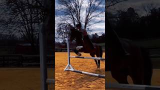 Tb to jumping tackless on Kit M6 Bigstareventingeventing kit tackless [upl. by Brest]