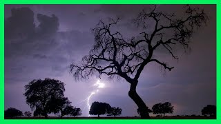 ⚡ Sonido de Lluvia y Truenos para Dormir⚡ 4 Horas  Tormenta Fuerte  Lluvia Relax con Truenos [upl. by Pettifer]