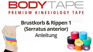 081 Brustkorb und Rippen 1 Serratur anterior [upl. by Barthold]