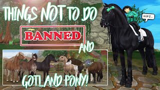 The GOTLAND pony😱 details amp things NOT to do in SSO  Star Stable Updates [upl. by Nevuer]