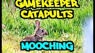 GAMEKEEPER CATAPULTS quotMOOCHING AGAINquot rabbit hunting  shoooting  slingshot [upl. by Ozneral]