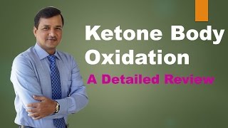 Ketolysis Pathway Ketone Bodies Oxidation [upl. by Arahd]