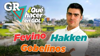 ¿Qué hacer en GDL Fevino [upl. by Copp]