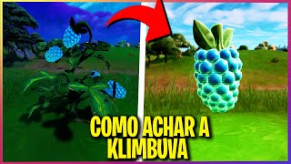 LOCALIZAÇÃO E COMO ACHAR A KLIMBUVA  NOVO COMESTIVEL NO FORTNITE [upl. by Inor]