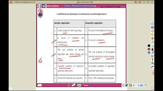 Aerobic and anaerobic resporation Harunbiozone [upl. by Weslee]