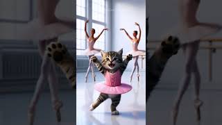 The kitten wants to be a ballerina cat cats kitten cute story [upl. by Pillsbury]